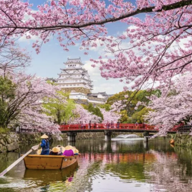 Our Honeymoon in Japan