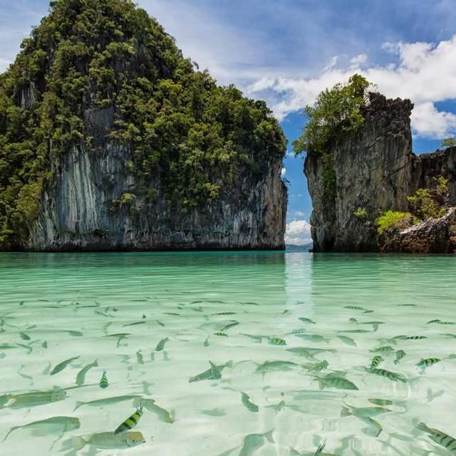 Honeymoon Under a Thai Moon Fund