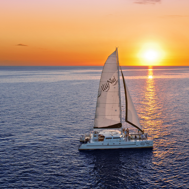 Sunset Dinner Cruise (Venmo - No Fee)