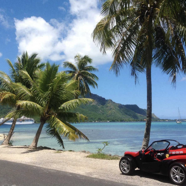 Island Buggy and Juice Factory Tour