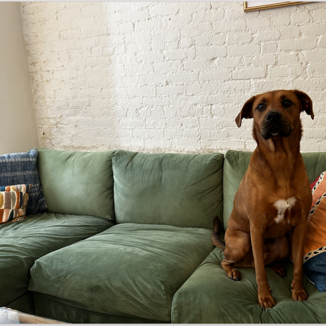 Couch Fund