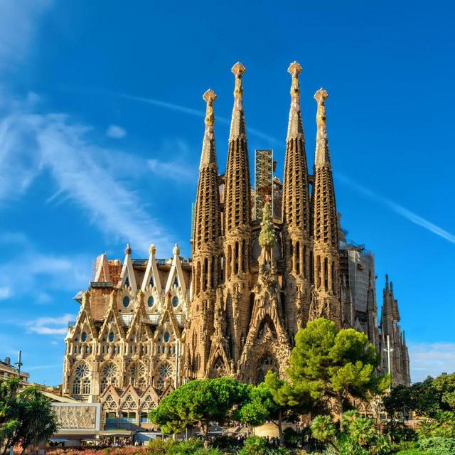 La Sagrada Familia and Park Guell Tickets