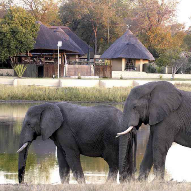 Our Honeymoon Adventure