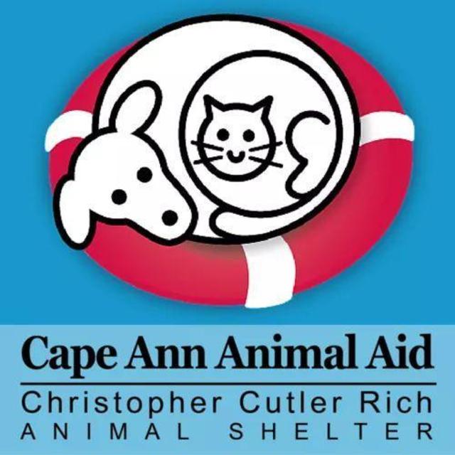 Donations in lieu of gifts to our local animal shelter