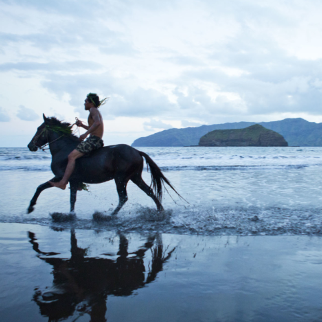 Horseback Riding Tour In Moorea