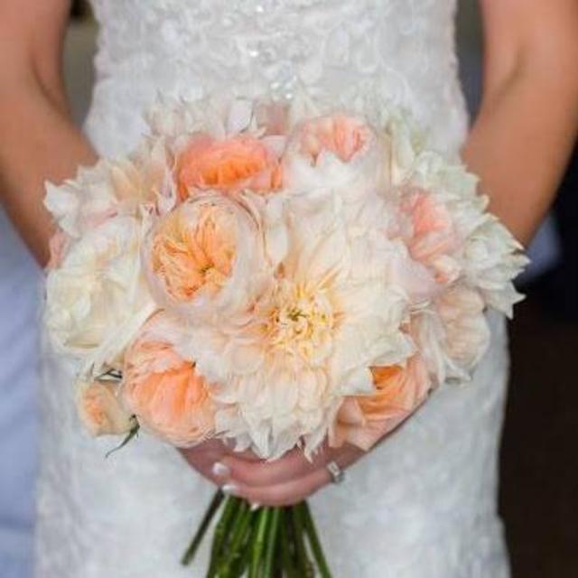 Brantford Blooms Gift Card