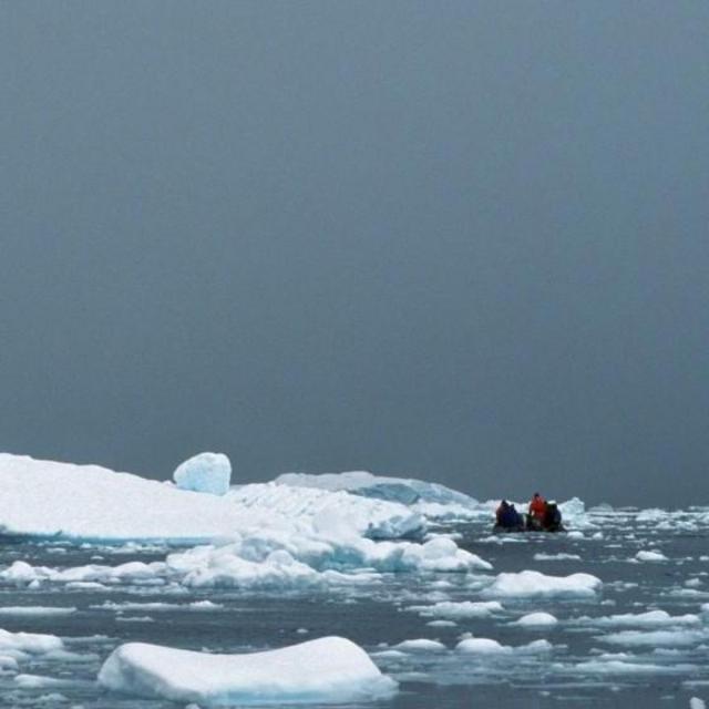 Iceberg touring in Antarctica!