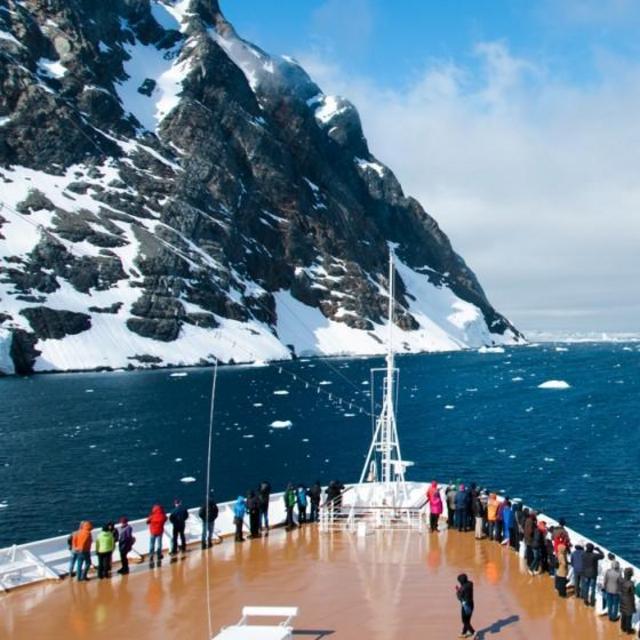 Contribute to our honeymoon in Antarctica!