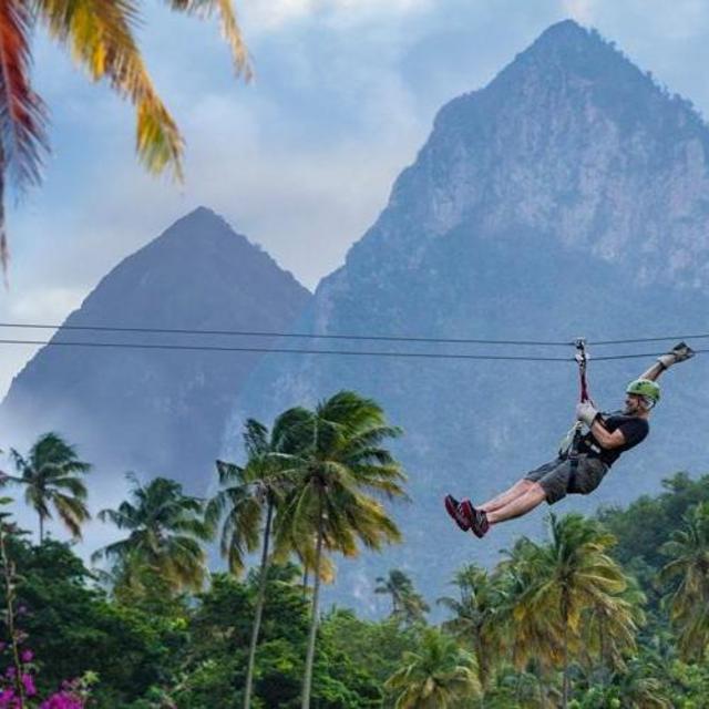 Help us zip line through the rainforest!