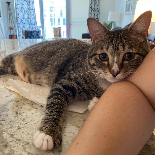 Being Thomas' Parents