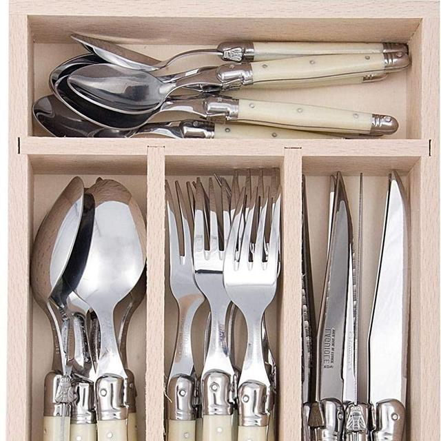 Jean Dubost 24 Pc Everyday Flatware Set with Ivory Handles in a tray 100% MADE IN FRANCE