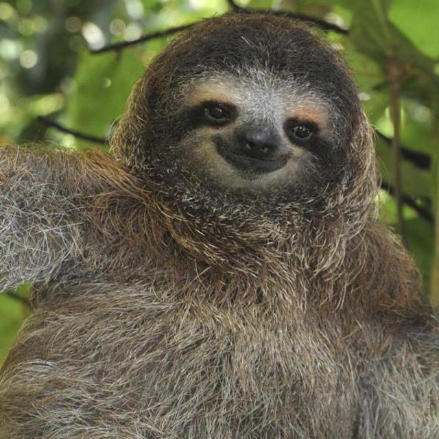 Honeymoon in Costa Rica