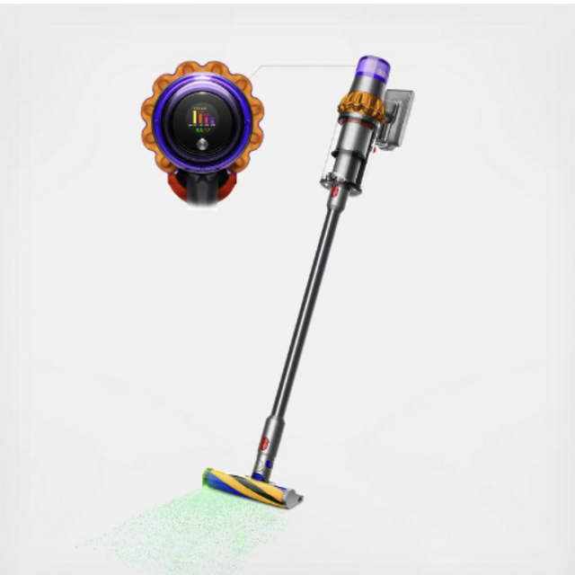 Dyson V15 Detect Cordless Stick Vacuum