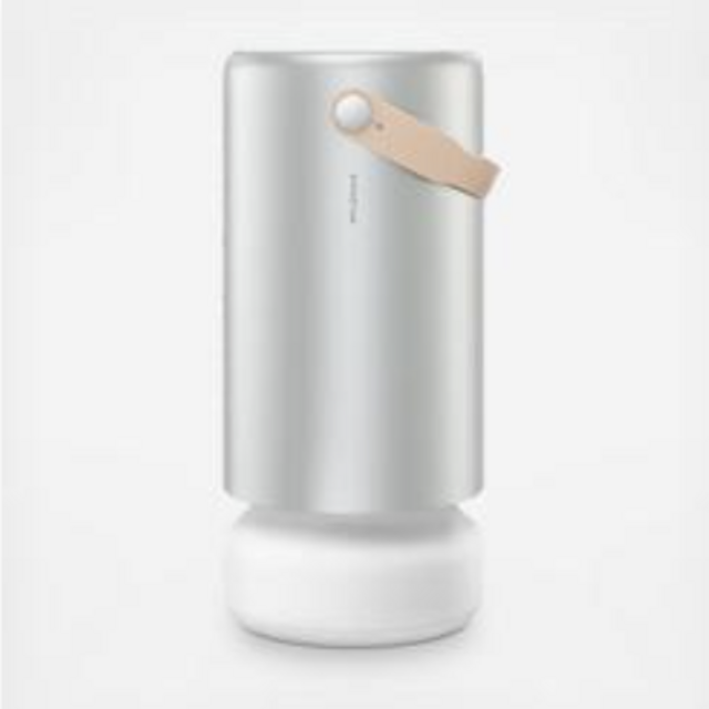 Molekule Molekule Air Pro
