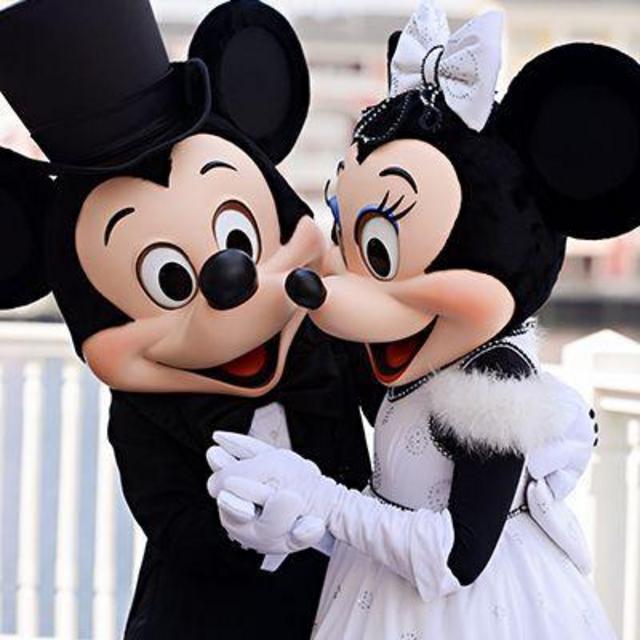 Disney Honeymoon Fund