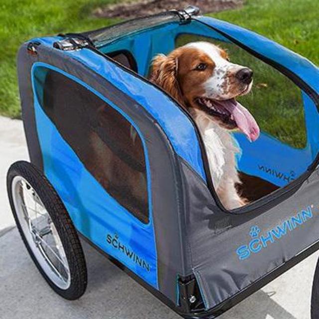 Riley's Schwinn Pet Bike Trailer