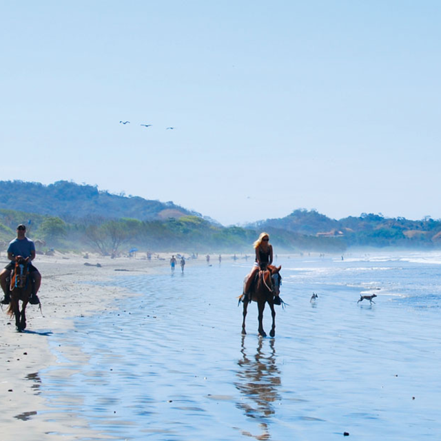 Horseback Riding On Our Honeymoon