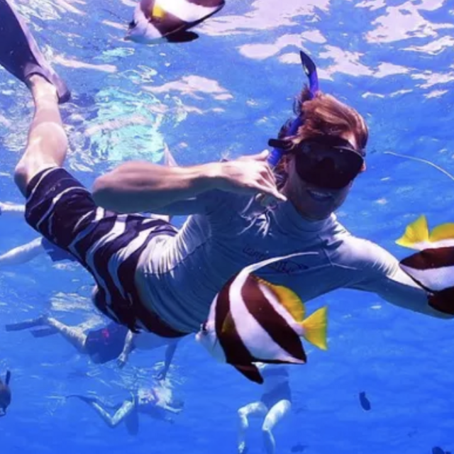 Molokini Crater Snorkeling Tour