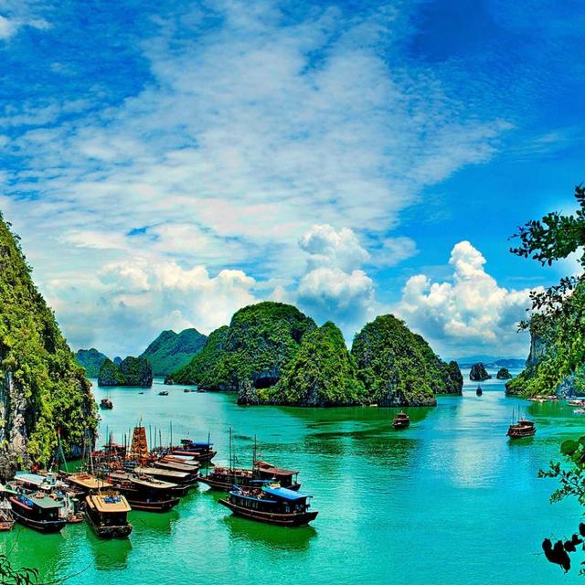 We are going to Thailand next year!