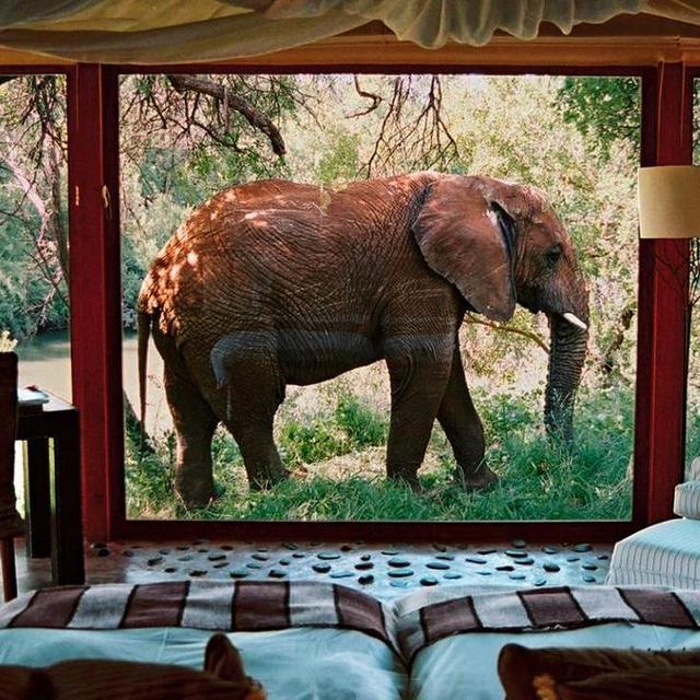 Safari Resort