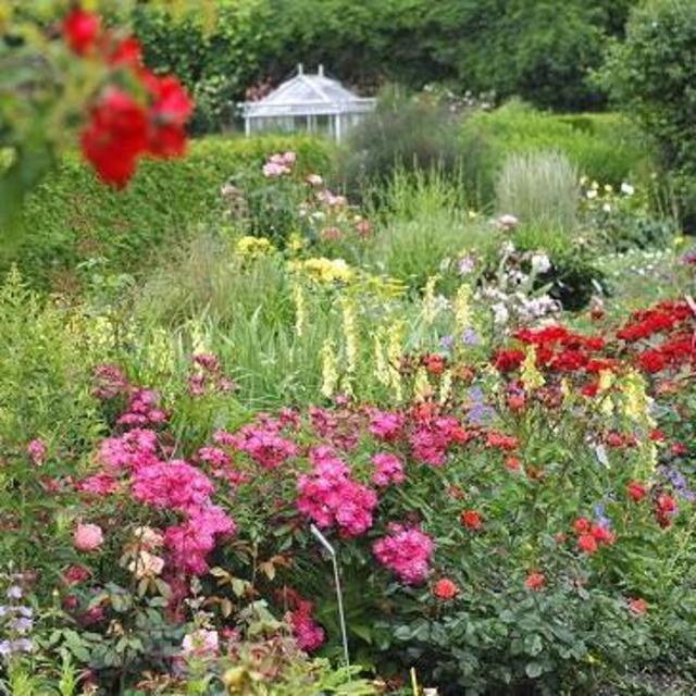 Admission to the Munich Botanical Gardens