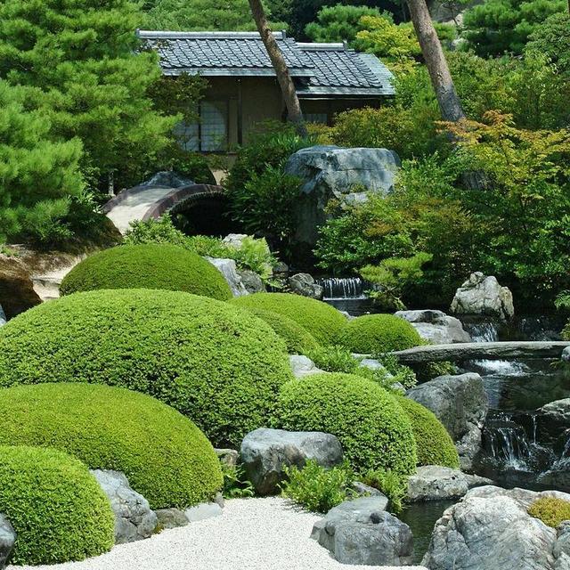 Strolls through gardens