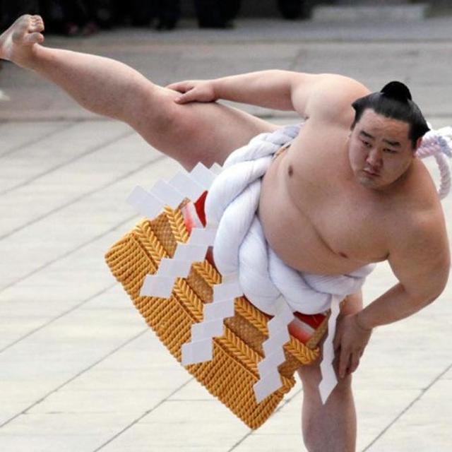 Sumo tournament