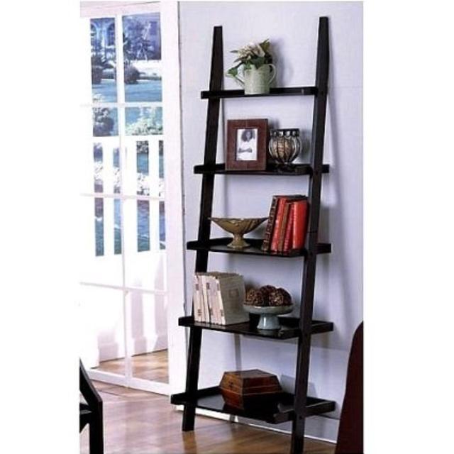 Ladder Book Shelf