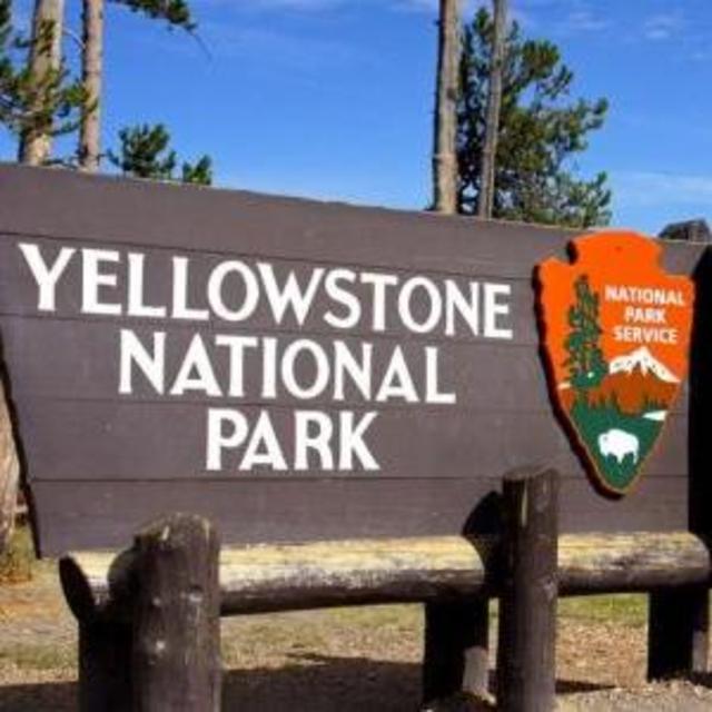 Honeymoon Excursions