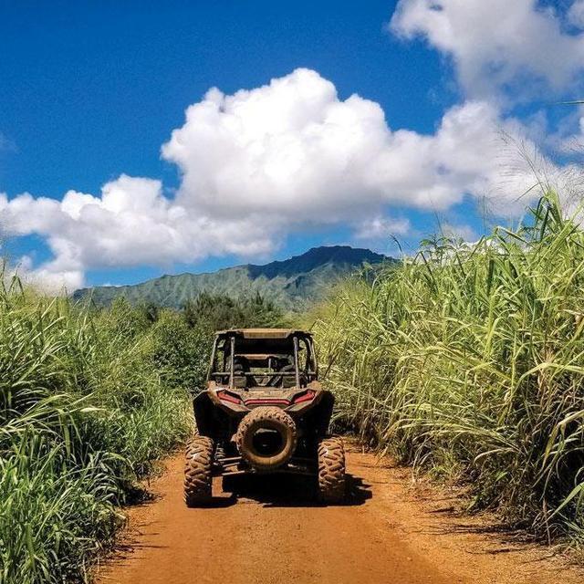 Jurassic Park ATV Tour