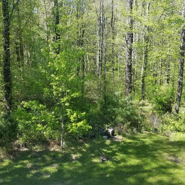Our Big Backyard!