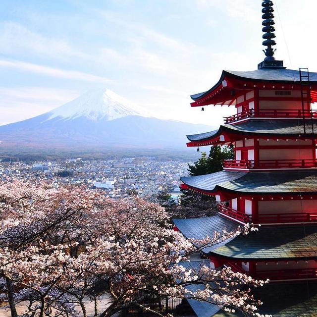 Honeymoon to Hawaii & Japan!