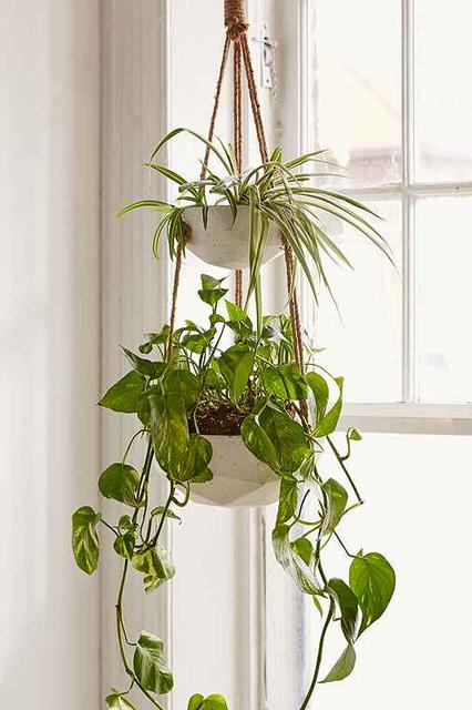 double hanging planter