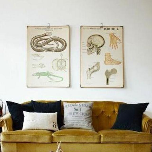 New Living Room Couch Fund