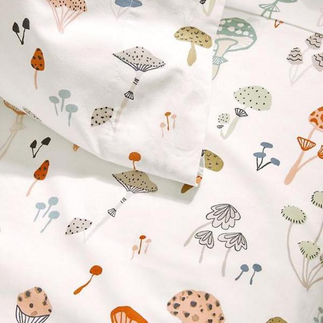 Queen Sheet Set and Standard Cases