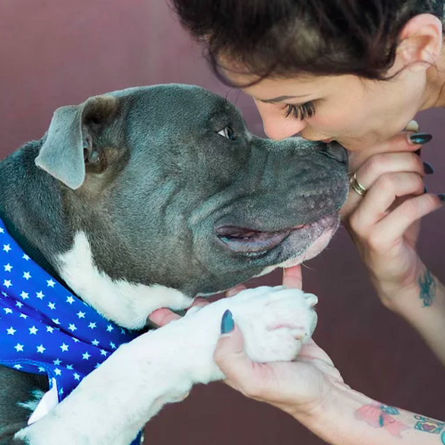 Bullies and Buddies Donation