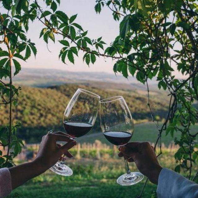 Napa Valley Winery Tours & Tastings