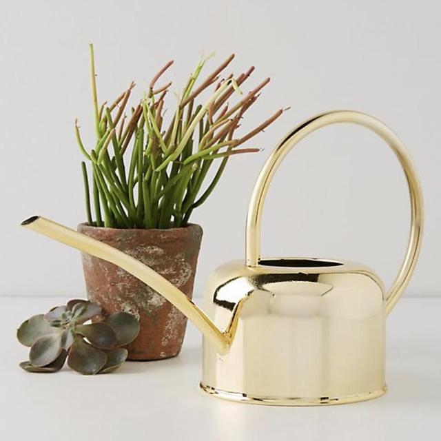 Gold Watering Can