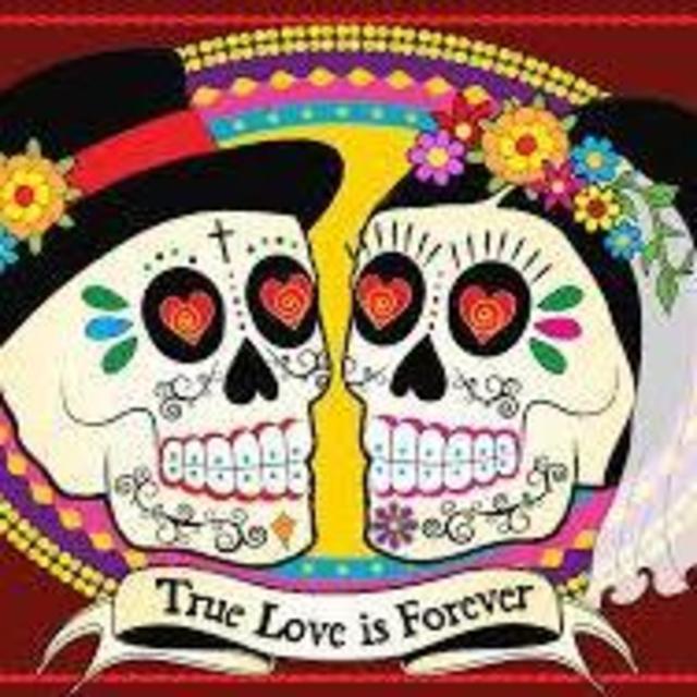 Wedding & Reception Fund