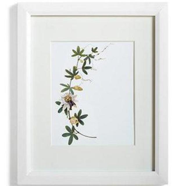 Martha Stewart Collection Gallery 8" x 10" Wall Frame