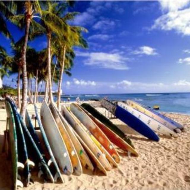 Surf School