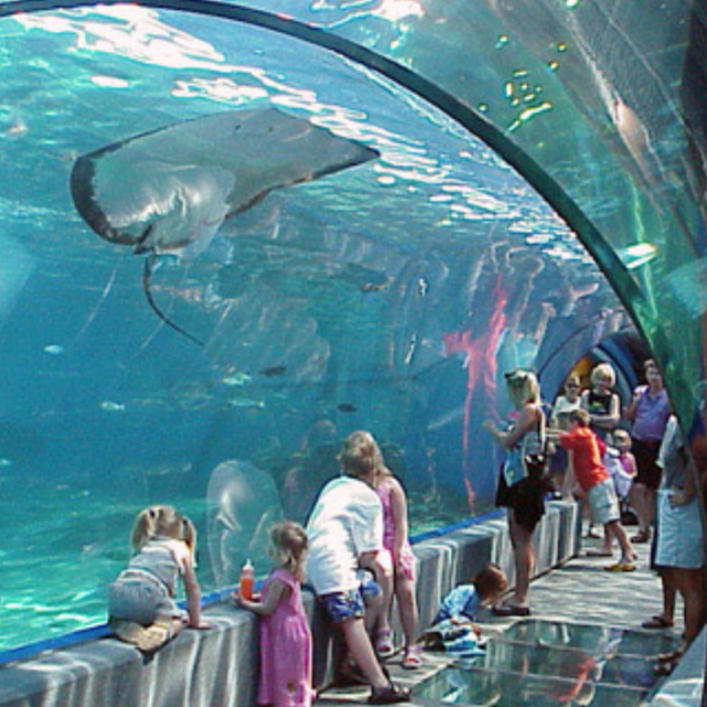 Maui Aquarium Ticket (Honeymoon)