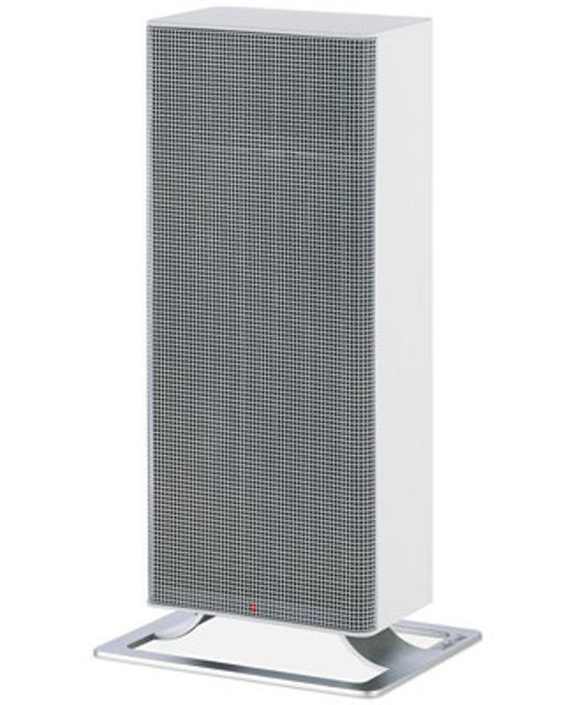 Big Anna Fan & Heater
