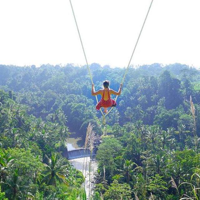 Go Soaring on The Bali Swing!