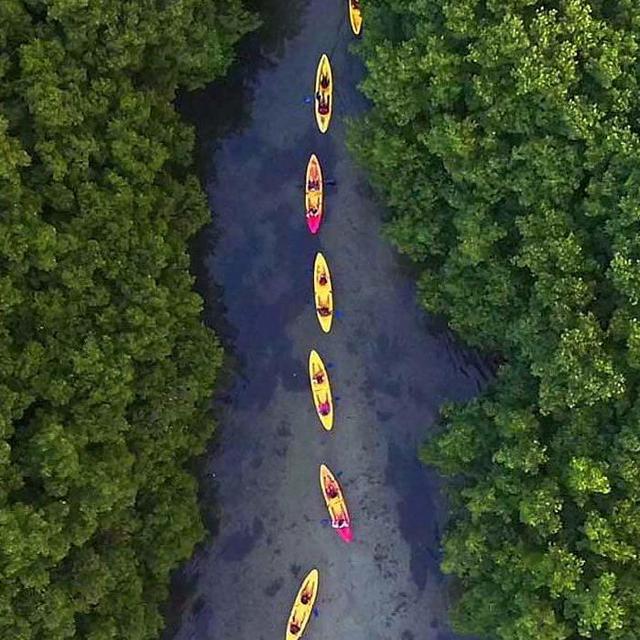 Honeymoon Kayak Tour El Yunque Rainforest & Bioluminescent Bay