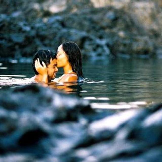 Maui Honeymoon Contribution