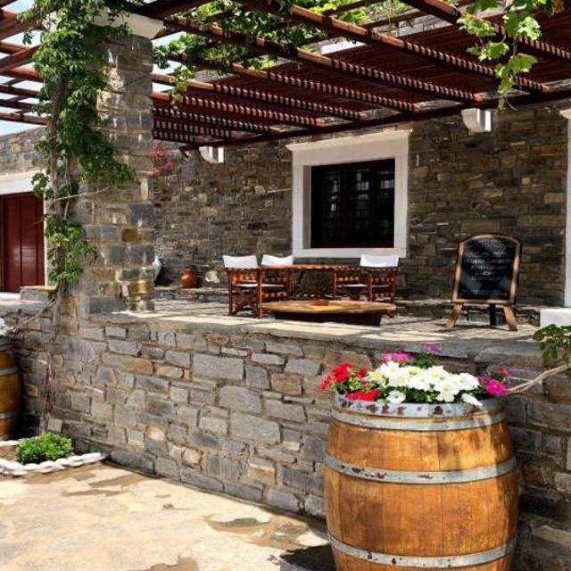 Wine Tasting in Paros