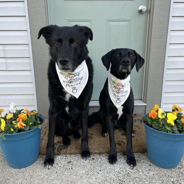 Our Home Renovation Fund