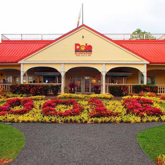 Dole Plantation Visit