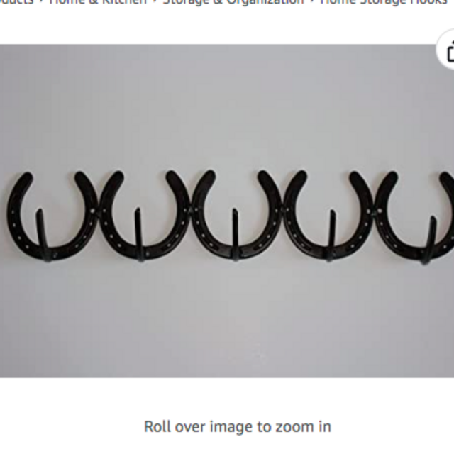 Horseshoe Coat Rack; 5 place. any color